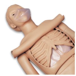 CPR Simon BLS S310 - celotělová figurína pro nácvik KPR