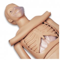 CPR Simon BLS - figurína pro nácvik KPR