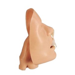 BLS Airway trainer adult - trenažér zajištění dýchacích cest dospělého
