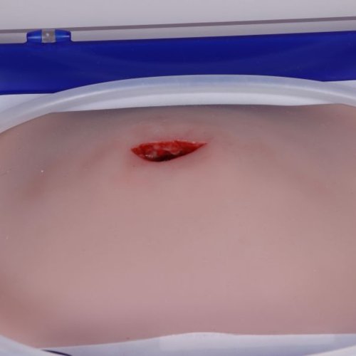 Model pro trénink pakování bodné rány v třísle