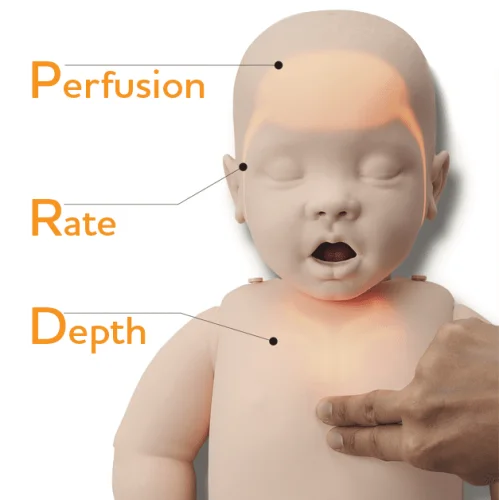 BRAYDEN BABY - resuscitační figurína kojence