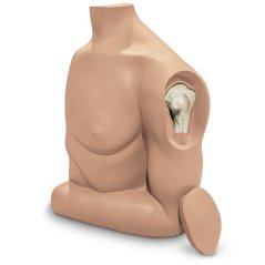 Humerus Intraosseous (IO) Trainer