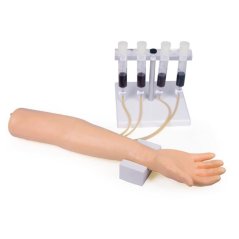 Model paže s rukou na trénink intravenózní kanylace