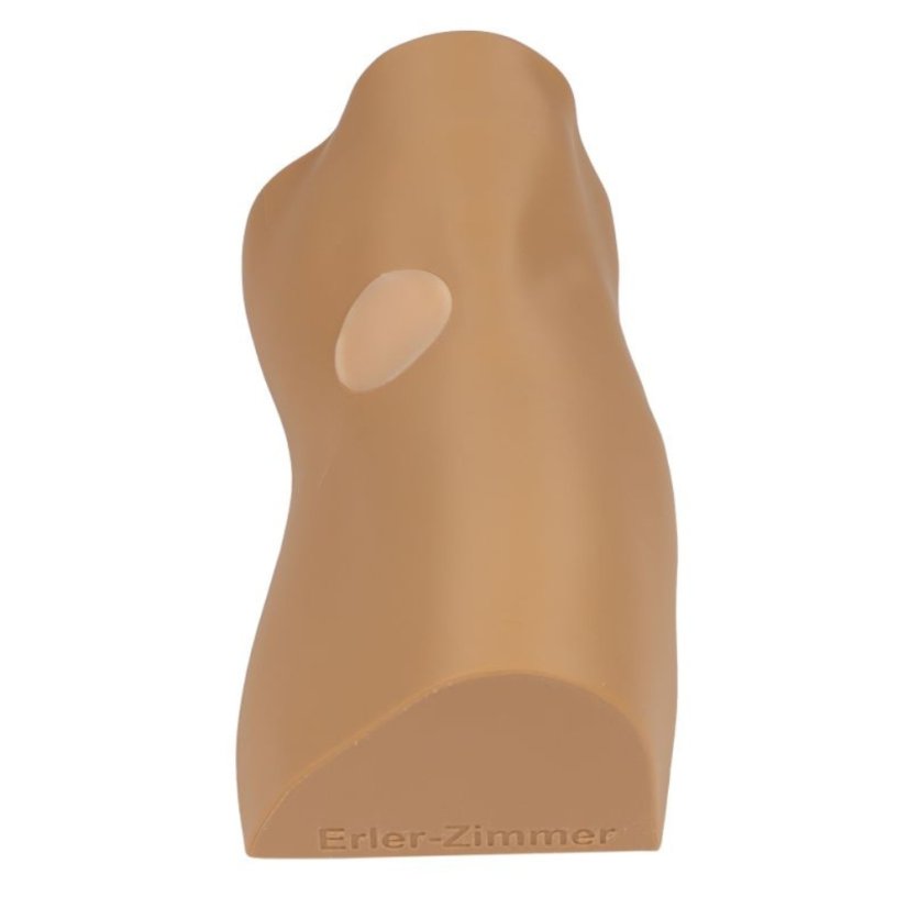 Model nohy pro nácvik intraoseální aplikace