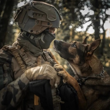 K9 & VET