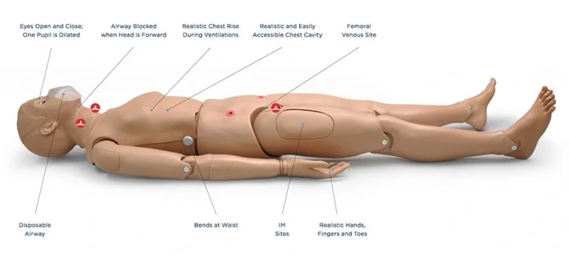 CPR Simon BLS  S310  -  celotělová figurína pro nácvik KPR