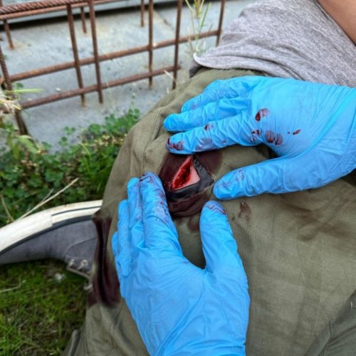 Model pro trénink pakování bodné rány v třísle