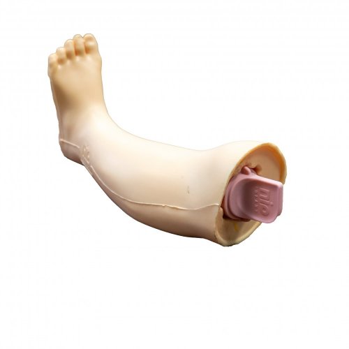 NIO SIM Infant Bones - set kostí do modelu nohy