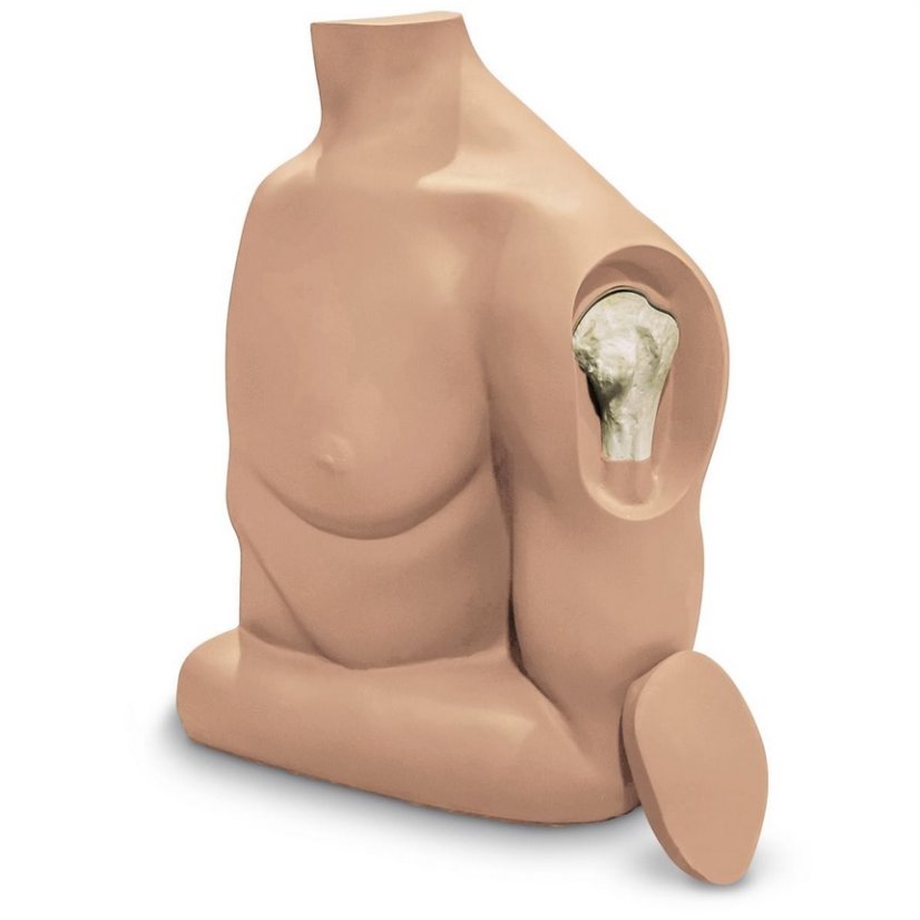 Humerus Intraosseous (IO) Trainer