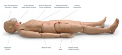 CPR Simon BLS  S310  -  celotělová figurína pro nácvik KPR