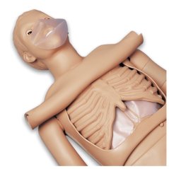 CPR Simon BLS  S310  -  celotělová figurína pro nácvik KPR