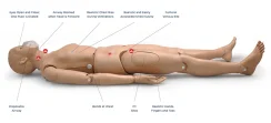 CPR Simon BLS S310 - celotělová figurína pro nácvik KPR