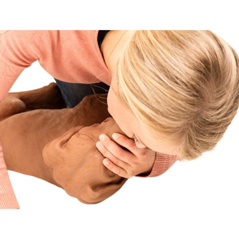 CasPeR Model psa pro nácvik CPR