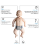BRAYDEN BABY - resuscitační figurína kojence