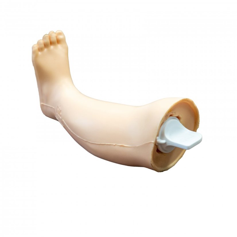 Model nohy pro tréninkovou intraoseální jehlu NIO Infant